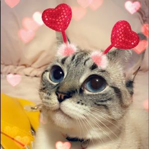 DISCOUNT!! DISCOUNT!!